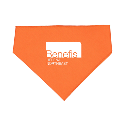 BenefisHelenaNortheast - Doggie Bandana