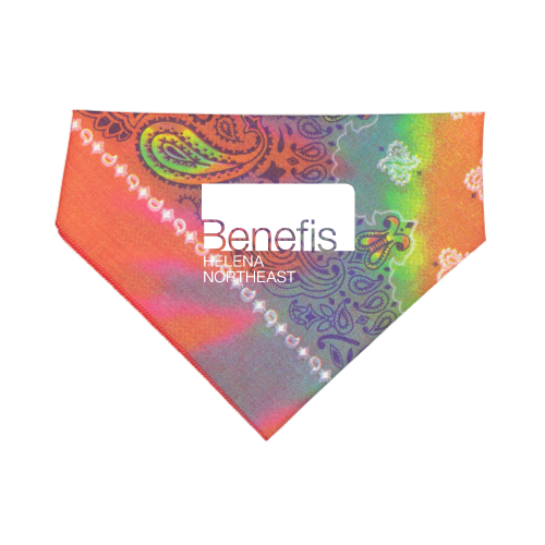 BenefisHelenaNortheast - Doggie Bandana
