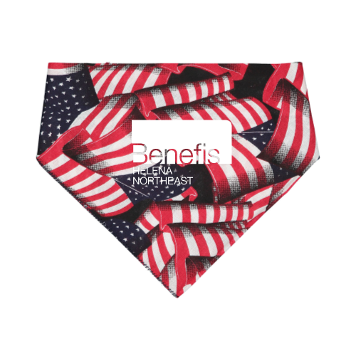 BenefisHelenaNortheast - Doggie Bandana