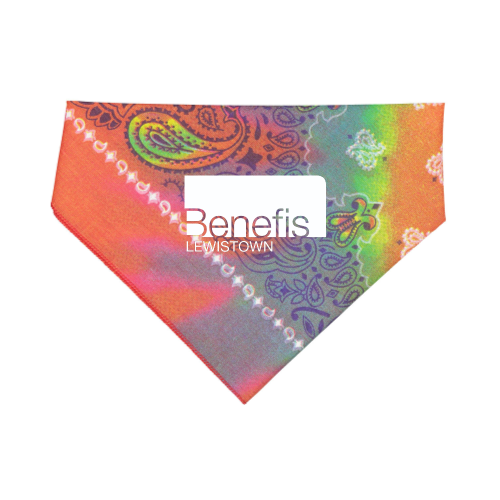 BenefisLewistown - Doggie Bandana