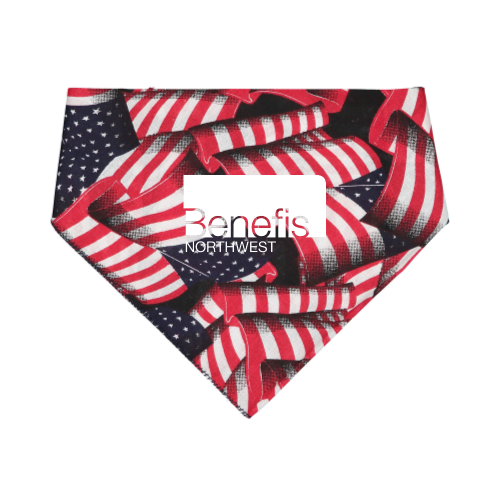 BenefisNorthwest - Doggie Bandana